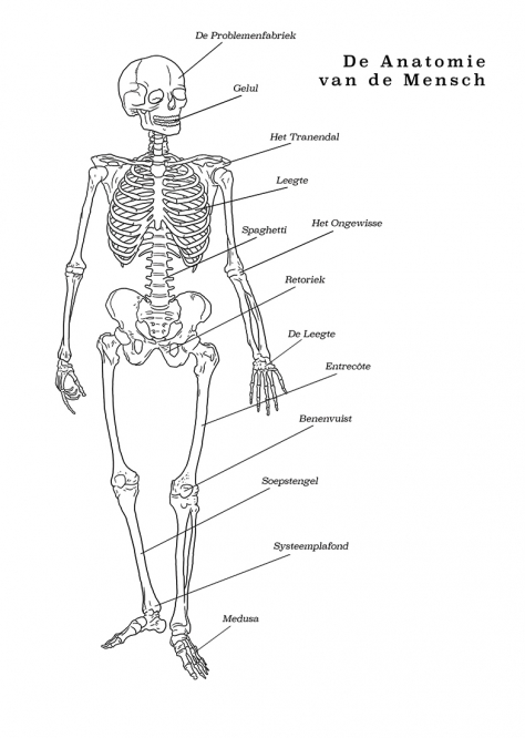 http://www.chocolateninja.net/files/gimgs/th-135_COMIC__0053_08_ANATOMIE.jpg