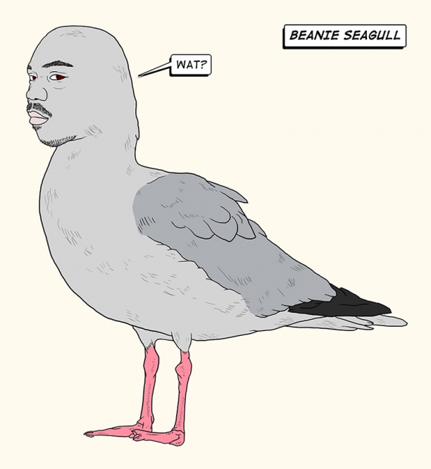 http://www.chocolateninja.net/files/gimgs/th-135_BEANIE_SEAGULL_004.jpg